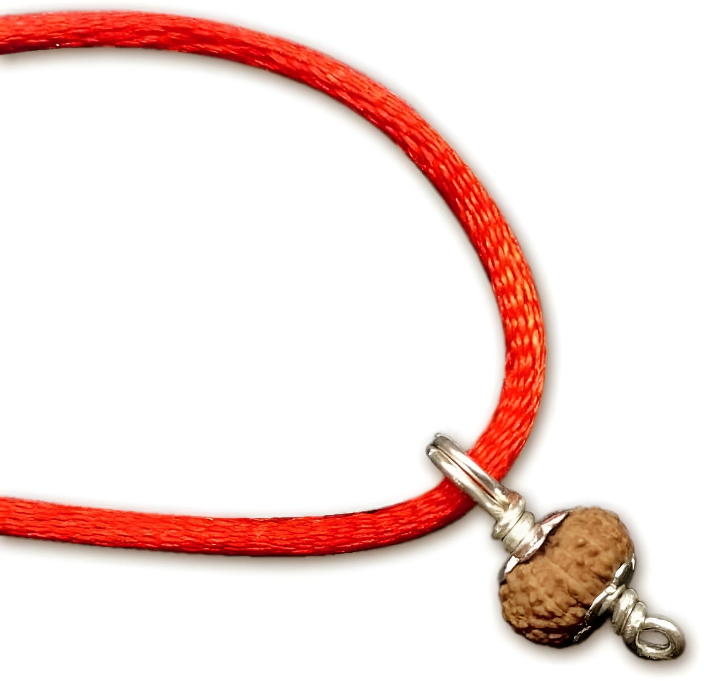 12 Mukhi Indonesian Rudraksha Tiny