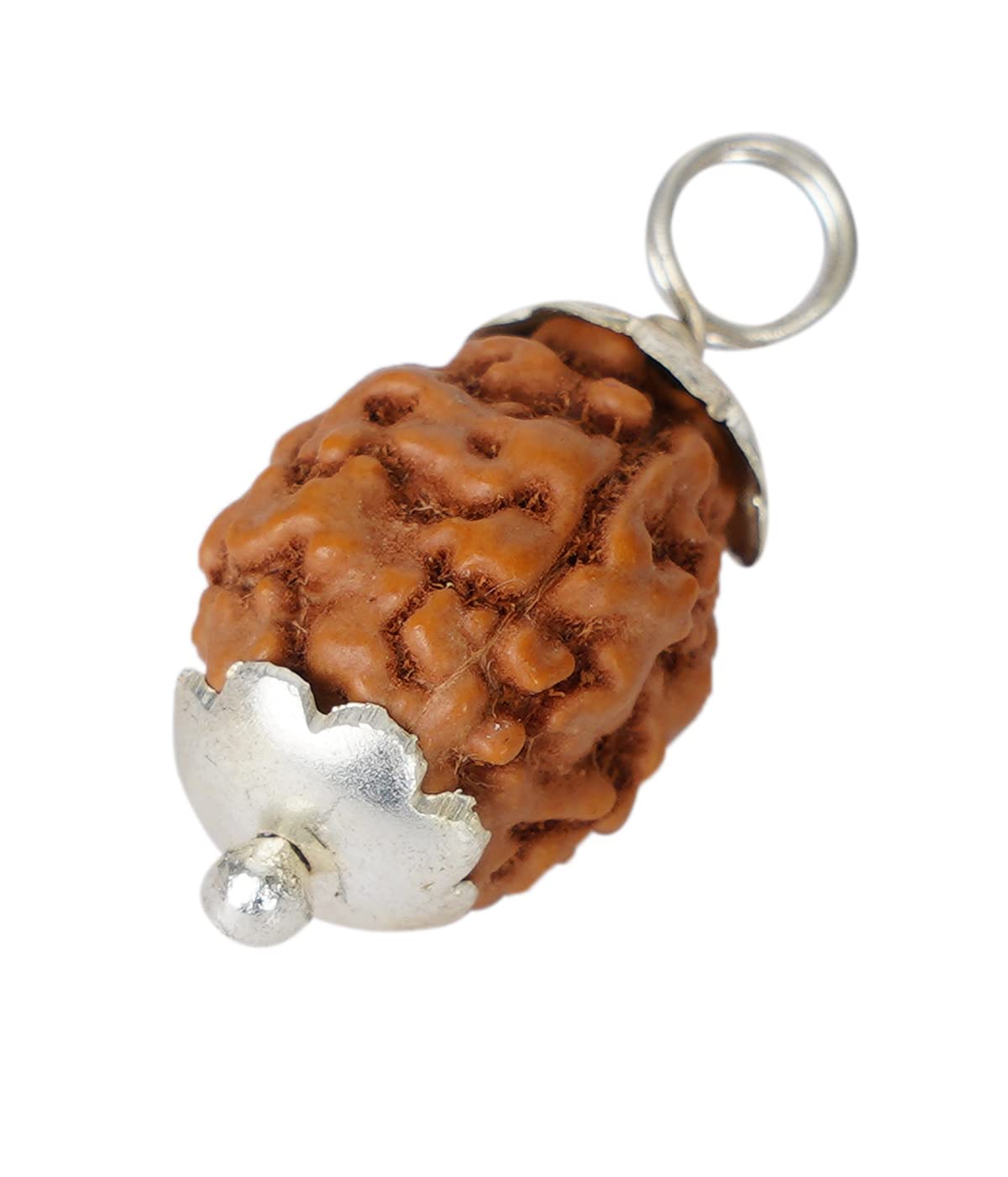 4 Mukhi Indonesian Rudraksha Large