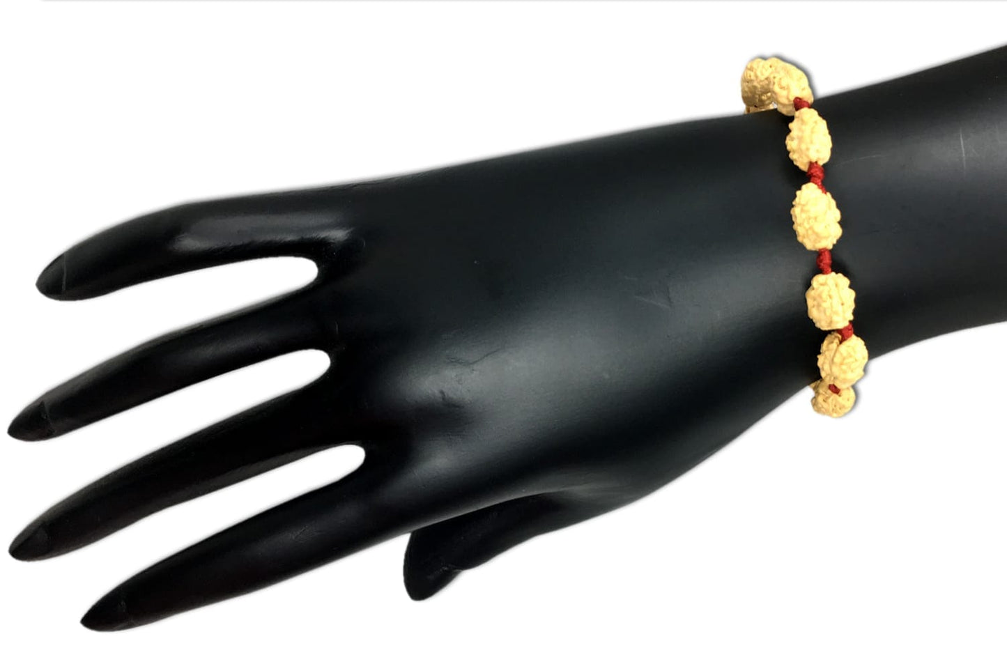 2 Mukhi Indonesian Rudraksha Bracelet In Adjustable Thread