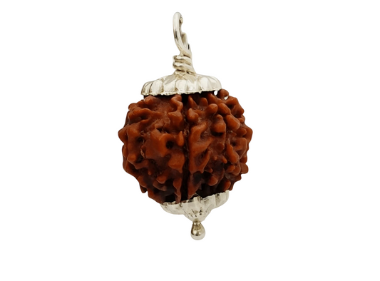 4 Mukhi Nepal Rudraksha Small