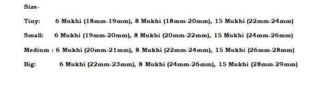 Rudraksha Combination for Business 6,8,15 Mukhi Nepal In Thread