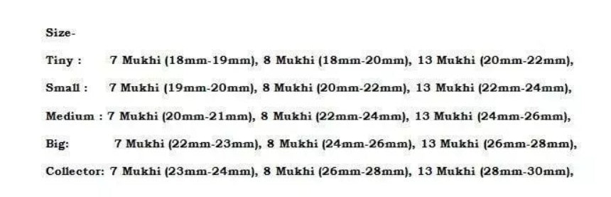 Rudraksha Combination For Business Power (Marketing & Trading) 7,7,8,13 Mukhi In Rudraksha Mala