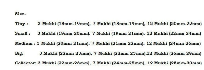 Rudraksha Combination For Career 3,7,12 Mukhi Nepal In Thread