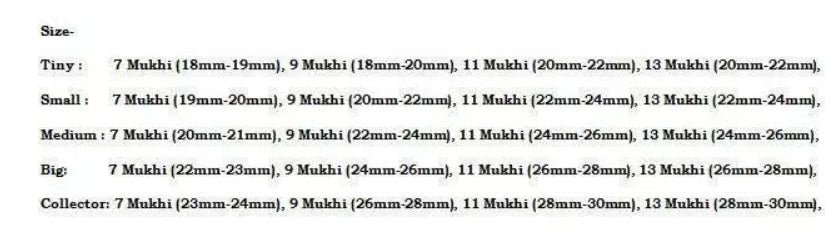 Rudraksha Combination for Wealth 7,9,11,13 Mukhi Nepal In Rudraksha Mala