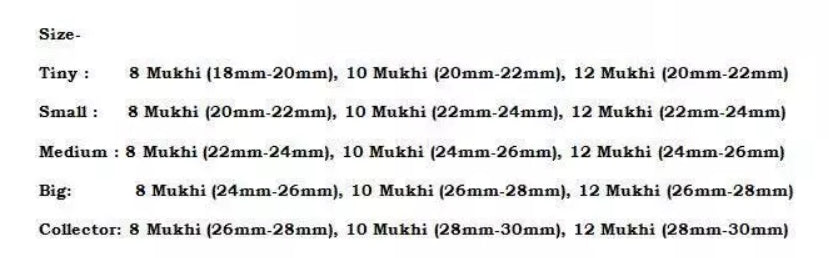 Rudraksha Combination for Protection 8,10,12 Mukhi Nepal In Thread