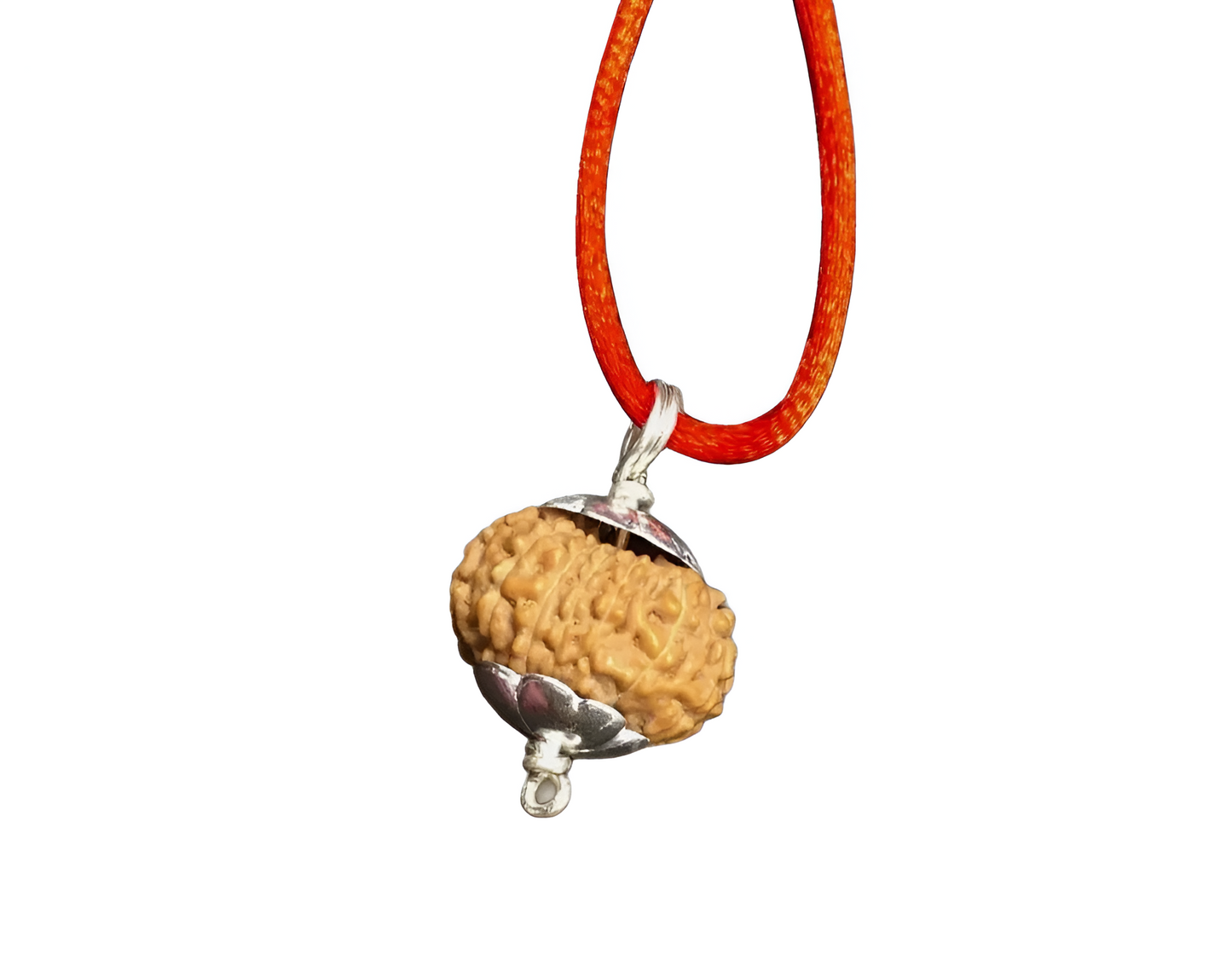 15 Mukhi Indonesian Rudraksha Large