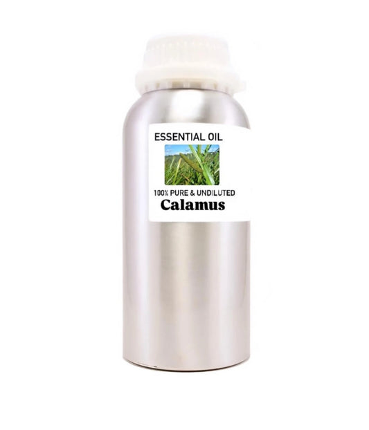 Calamus Undiluted Essential Oil