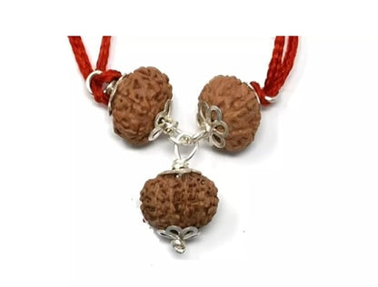 Rudraksha Kavach for Knowledge & Creativity Energized Original Java Beads Java certified original buy online India