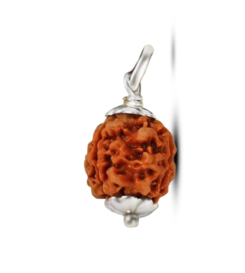 3 Mukhi Nepal Rudraksha Medium