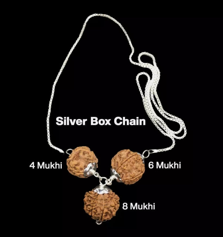 Rudraksha Combination for Creativity 4,6,8 Mukhi Nepal In Silver Chain