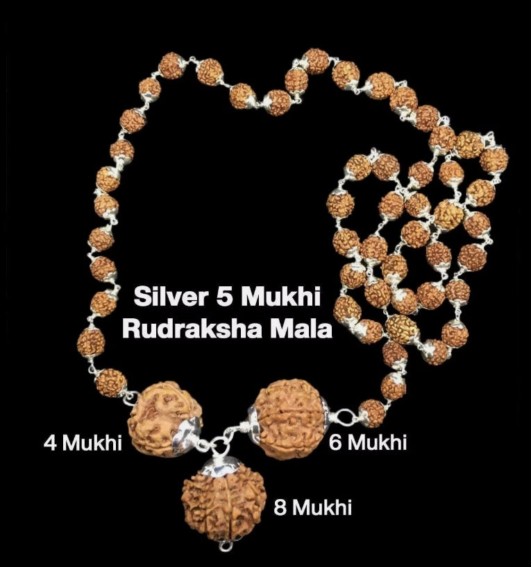 Rudraksha Combination for Creativity 4,6,8 Mukhi Nepal In Silver Mala