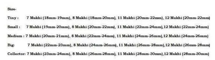 Rudraksha Combination Business Power (Executives & Businessmen) 7,7,8,11,12 Mukhi Nepal