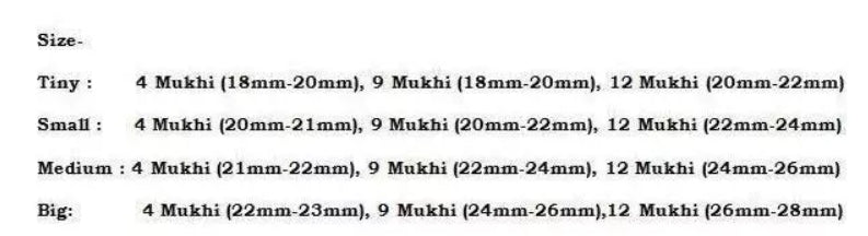 Rudraksha Combination for Doctors 4,9,12 Mukhi Nepal In Thread