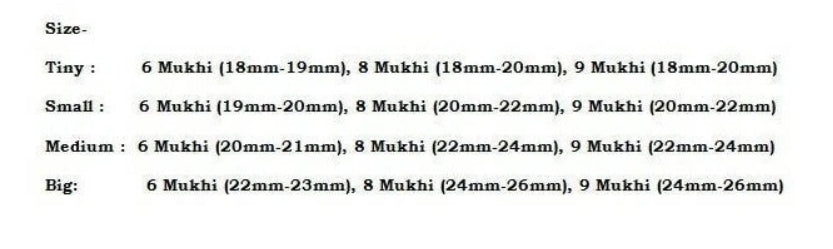 Rudraksha Combination For Females In Business 6,8,9 Mukhi Nepal In Rudraksha Mala