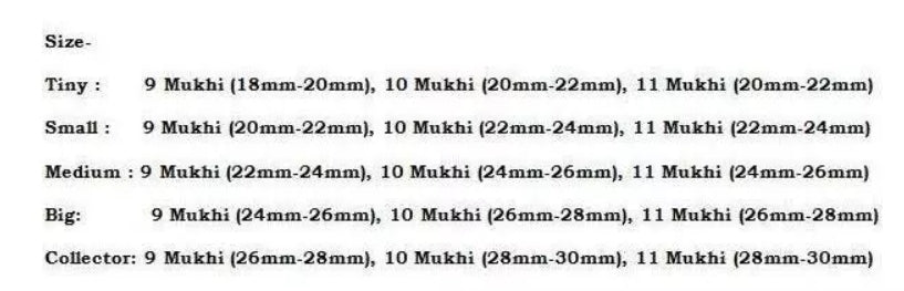 Rudraksha Combination for Total Protection 9,10,11 Mukhi Nepal In Thread