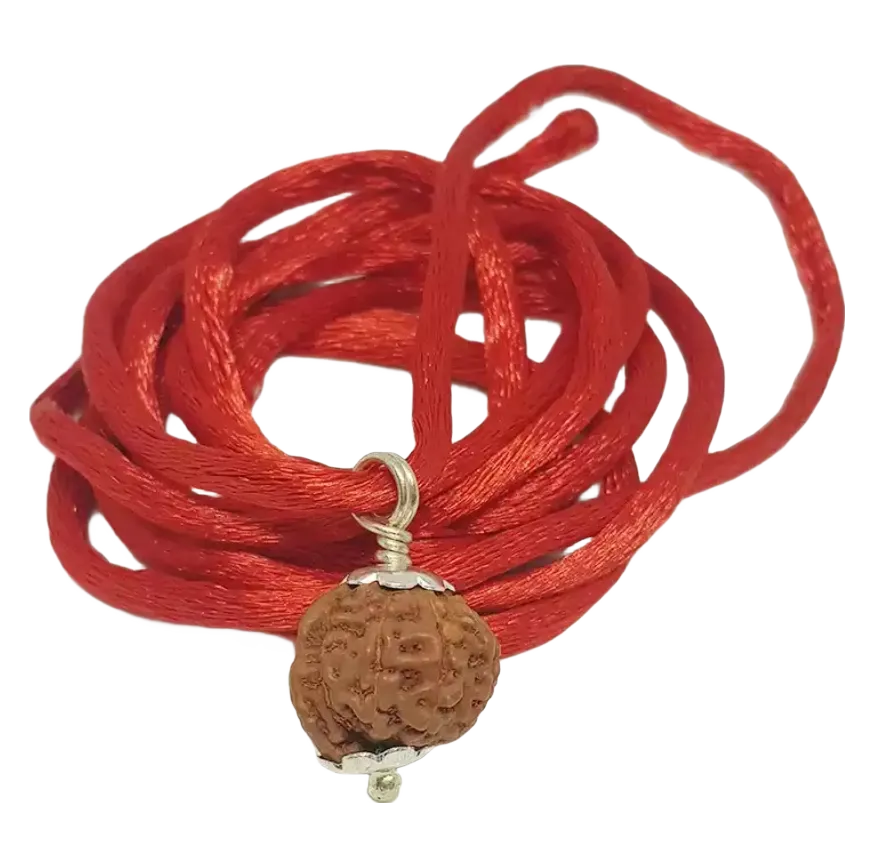 Ganesh Rudraksha Indonesian Large