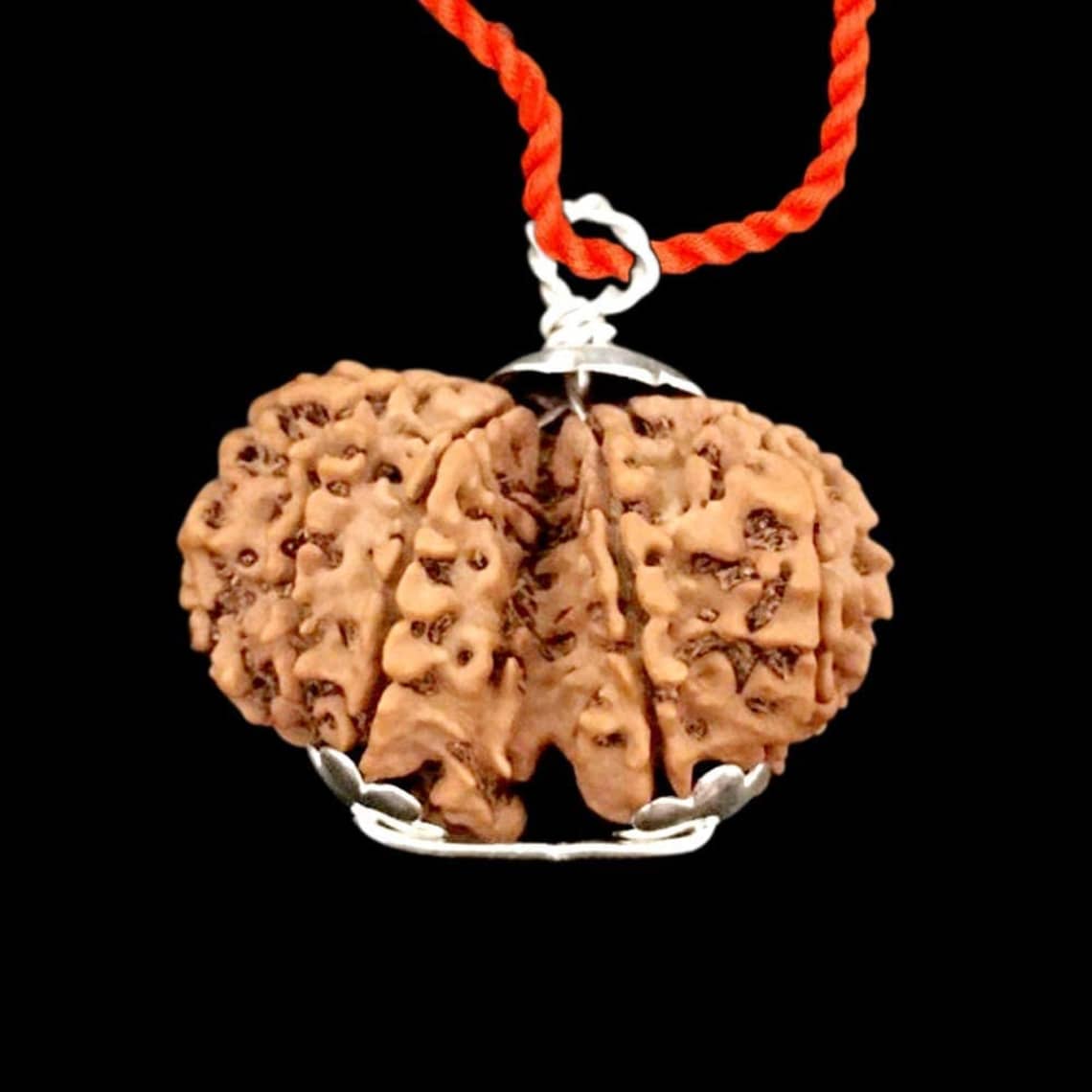 Nepal Gauri-Shankar Rudraksha Medium